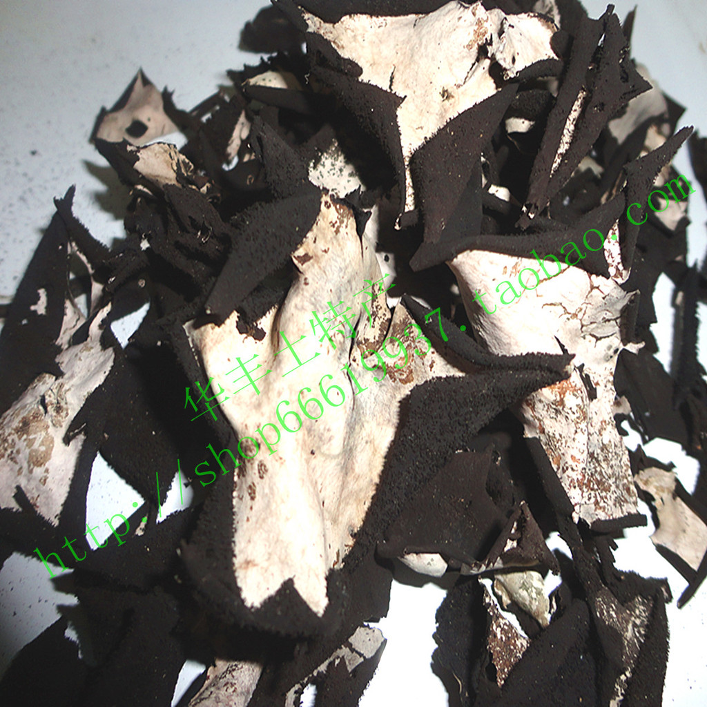 产地直销 水洗石耳 纯野生 大朵去末