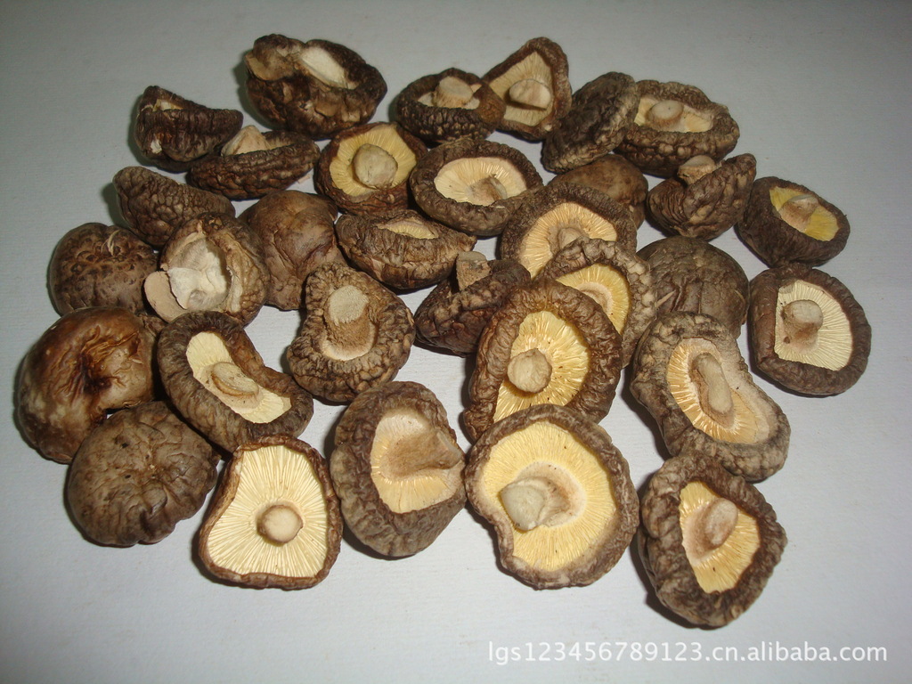 【厂家直销】专业供应高品质热销精美香菇 品质保证