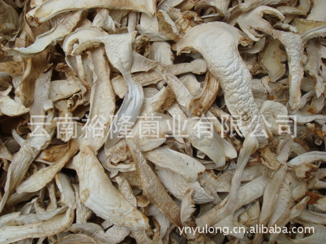 批发野生松茸干片 松茸菌 松茸野生菌 松茸食用菌 松茸产地直销商