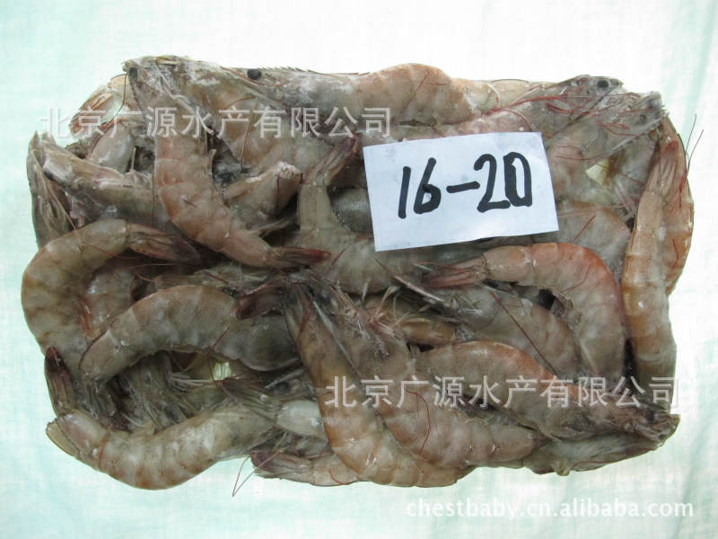 精选急冻南美白对虾 质量保证信誉第一