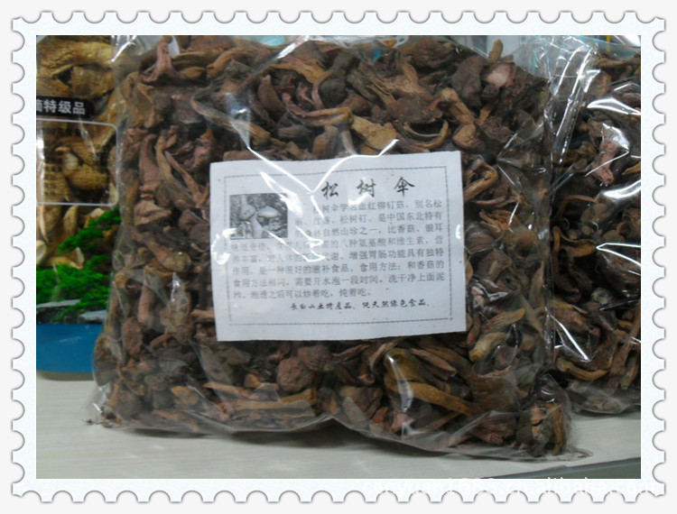 供应野生蘑菇 松树伞红蘑味道纯正 280元/kg
