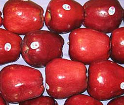 选好苹果酒选山东旧店优质苹果/礼盒装