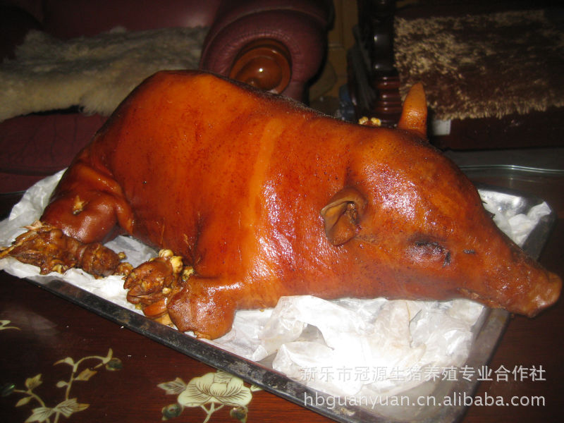 精美礼品猪 礼品小香猪 熏香猪  熏乳猪