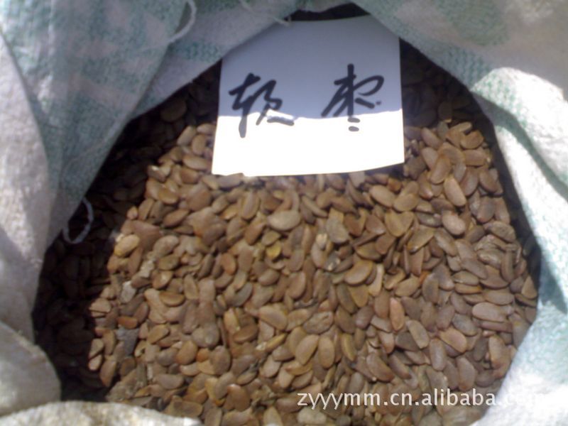 供应今年新采优质软枣种子，黑枣种子，君迁子