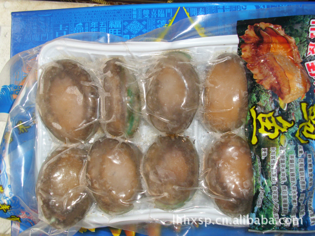 供应优质的水产天然野生鲍鱼  厂家大量供应现货