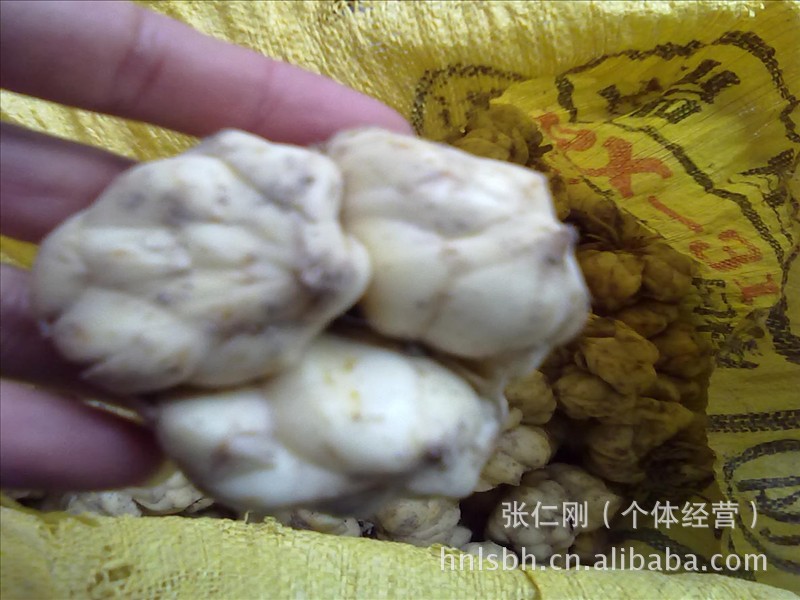 湖南省龙山县卷丹百合产地低价批发大量优质食用百合种球/种子