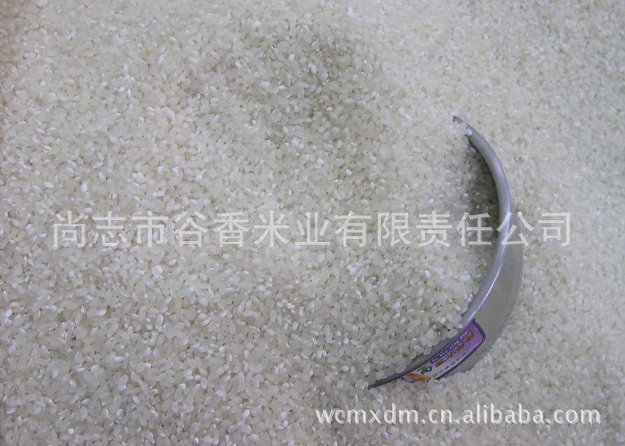 【优质供应】批发健康实惠 长粒香东北大米