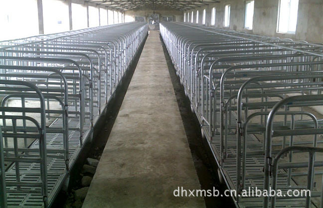 养猪设备，定位栏，限位栏，宜兴大鸿生产