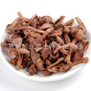 长白山野生松树伞、红蘑