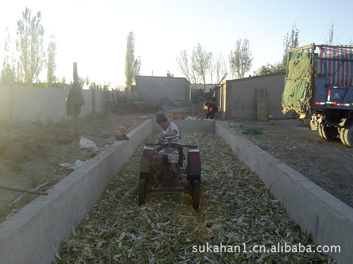供应青贮饲料用发酵菌剂