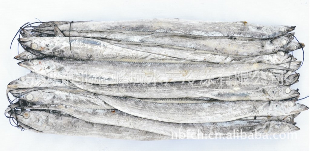 供应水产海鲜 东海冻带鱼/小黄鱼/鲐鱼/青占鱼