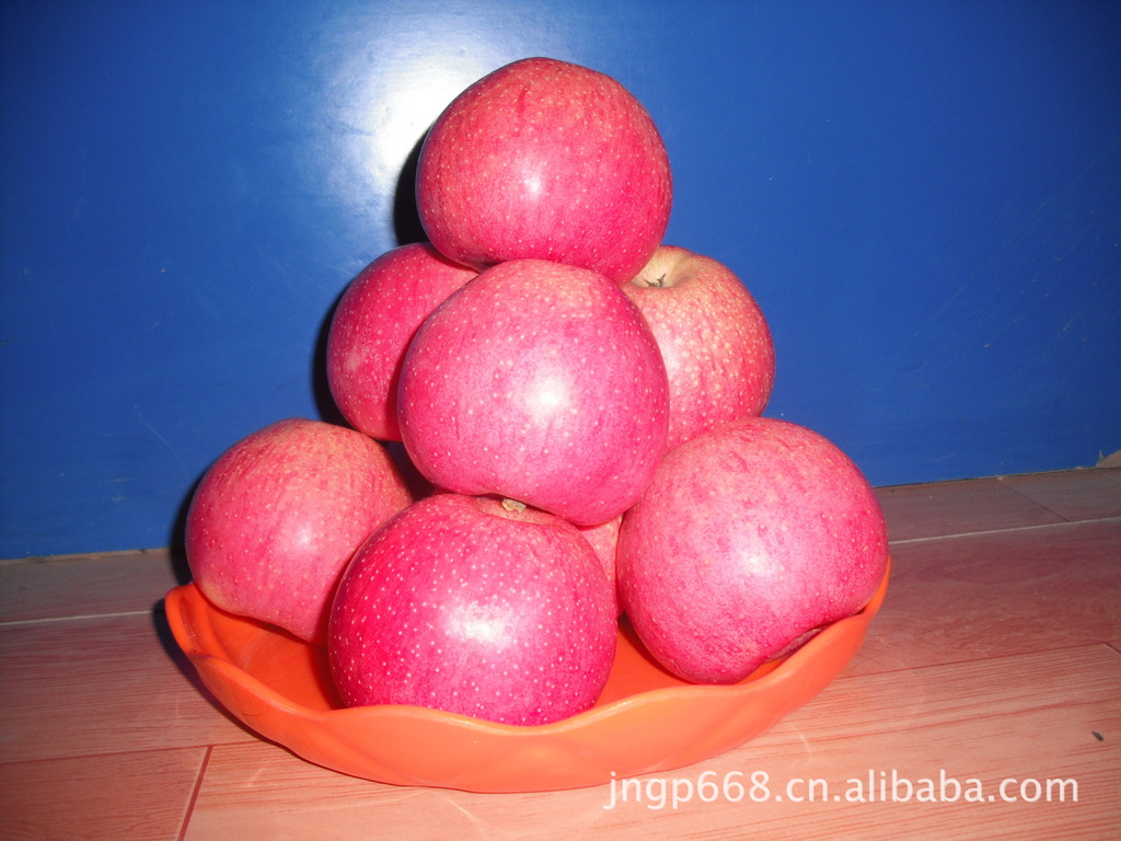 大量销售静宁秦冠苹果