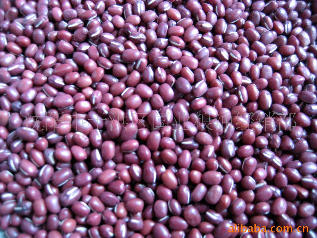 供应红小豆(图)