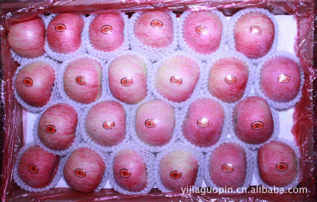 长期大量供应优质正宗小国光苹果