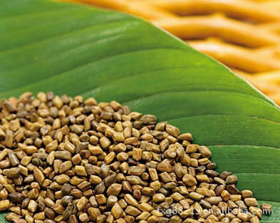 供应小朋友们的乐园沙滩玩具草决明