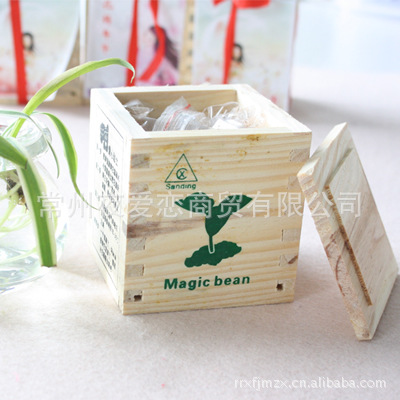 厂家供应 木盒魔豆 迷你植物许愿豆 爱情魔豆