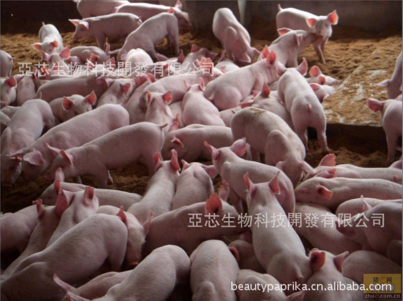 乳酸菌饲料发酵剂 益生菌发酵 生物饲料 发酵饲料