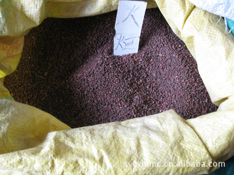 诚意园林批发供应防风籽 药材种子 中草药