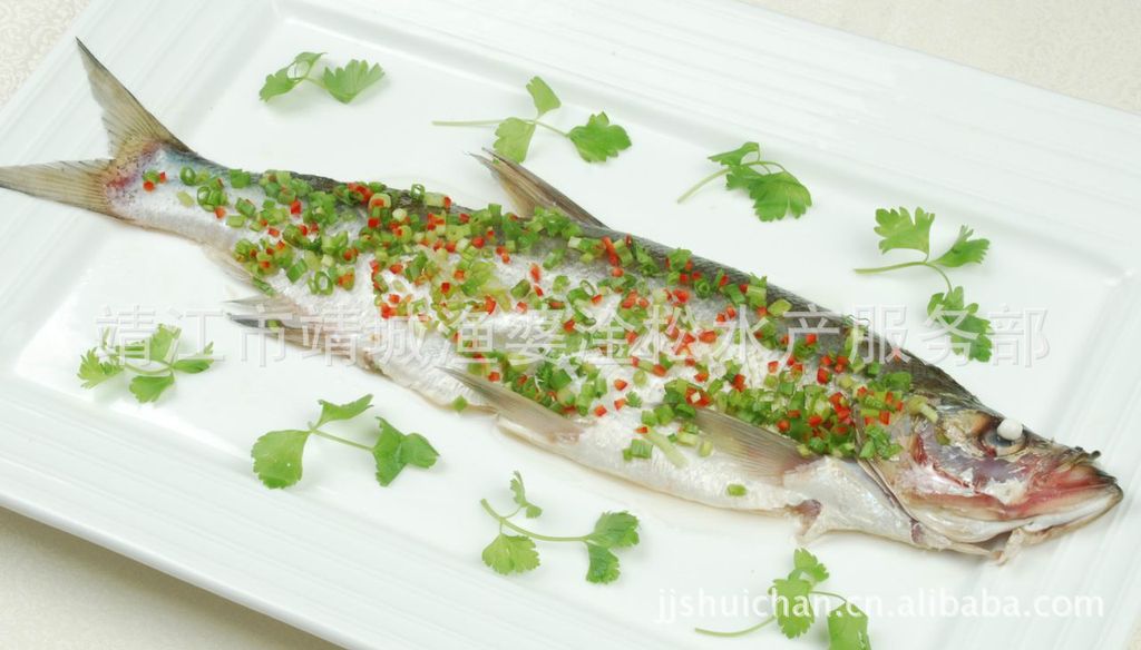 供应鲜活水产(淡水鱼)  白丝鱼