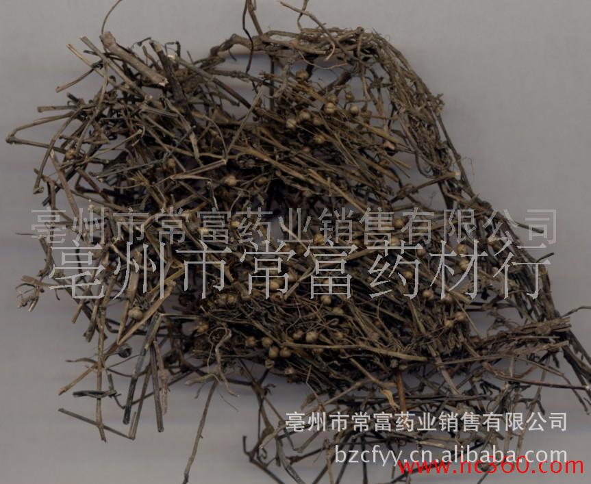 供应地锦草 地胆草 吉祥草 老头草(图) 各种草药 支持验货