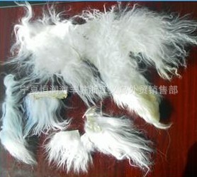 滩羊下脚料，宁夏盐池滩羊，中国滩羊之乡直销处