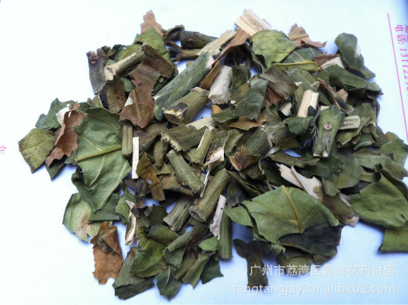 供应优质中草药 桑寄生