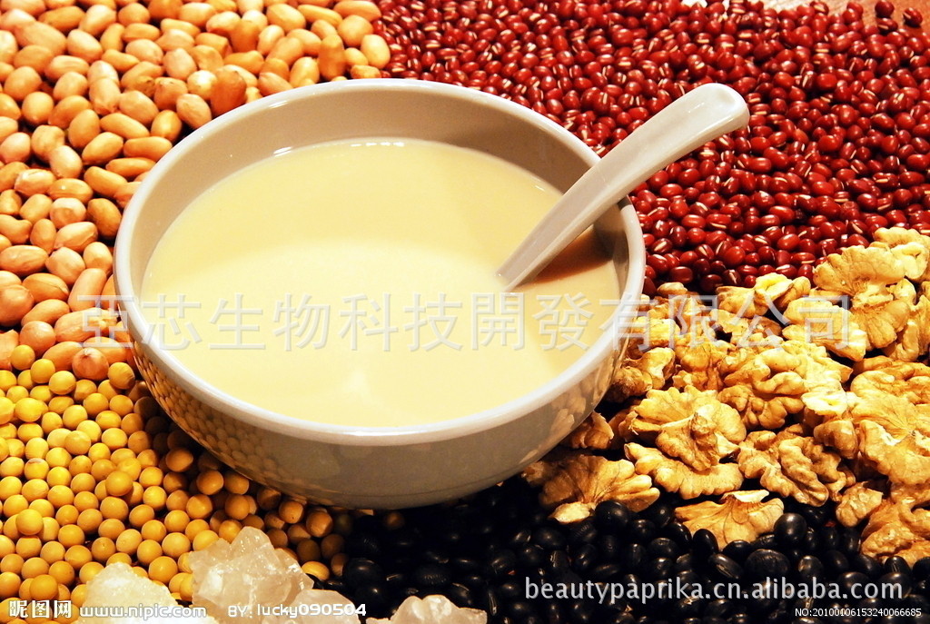 直投式豆奶发酵剂 直投式乳酸菌菌粉 酸奶发酵剂 乳酸菌发酵