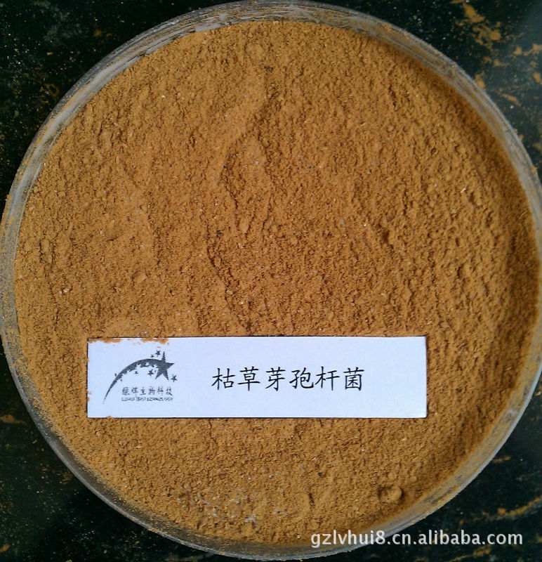 500亿/克枯草芽孢杆菌