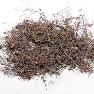 正品冷背药 中药材 海金沙草