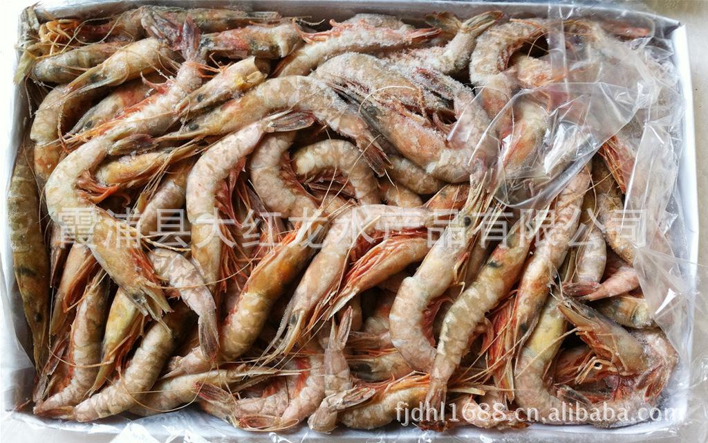各种规格 优质剑虾 霞浦县大红龙水产