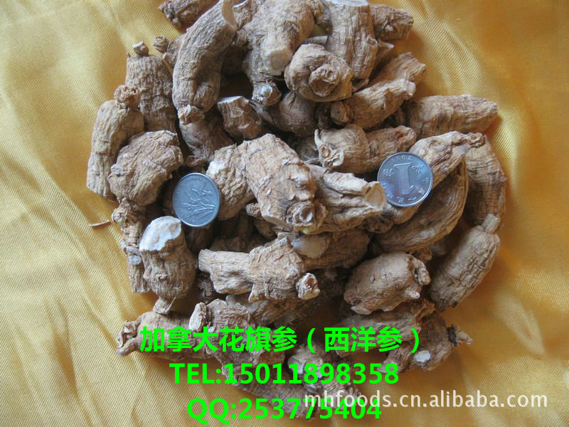 加拿大进口花旗参粒/人参粒头/大个/饱满/西洋参粒/提高免疫力