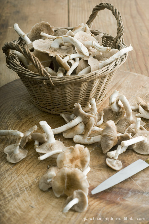 厂家低价销售特级食用菌,青岛供应优质食用菌