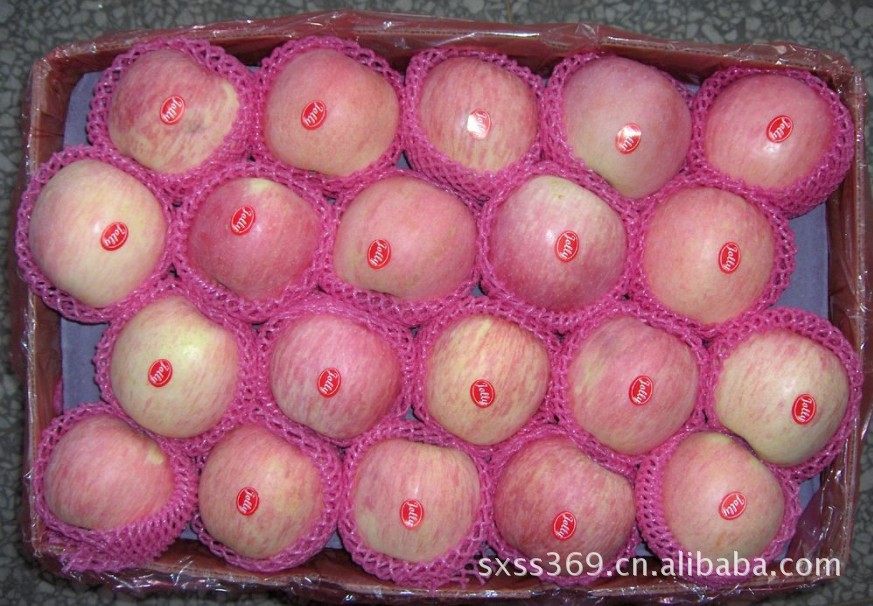 供应陕西精品美邦苹果 供应特产精品苹果【美邦】