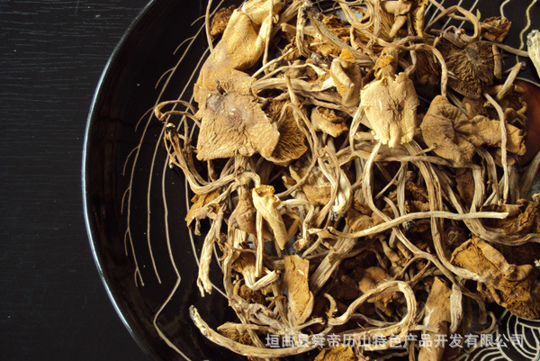 【精品推荐】供应优质茶树菇