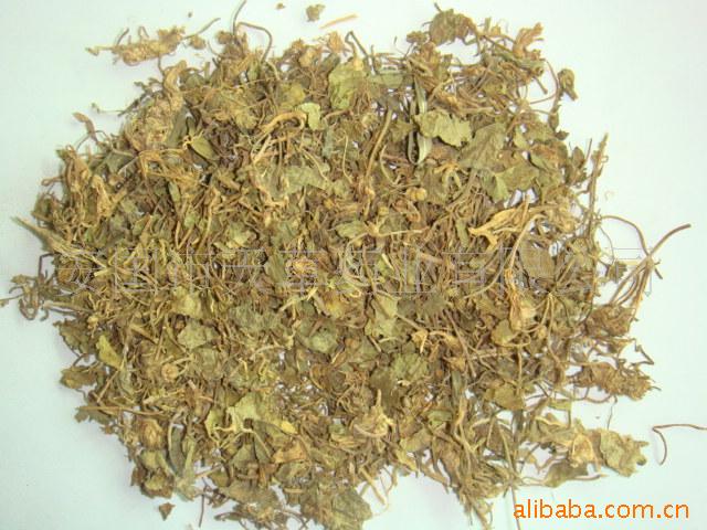 供应中草药 积雪草