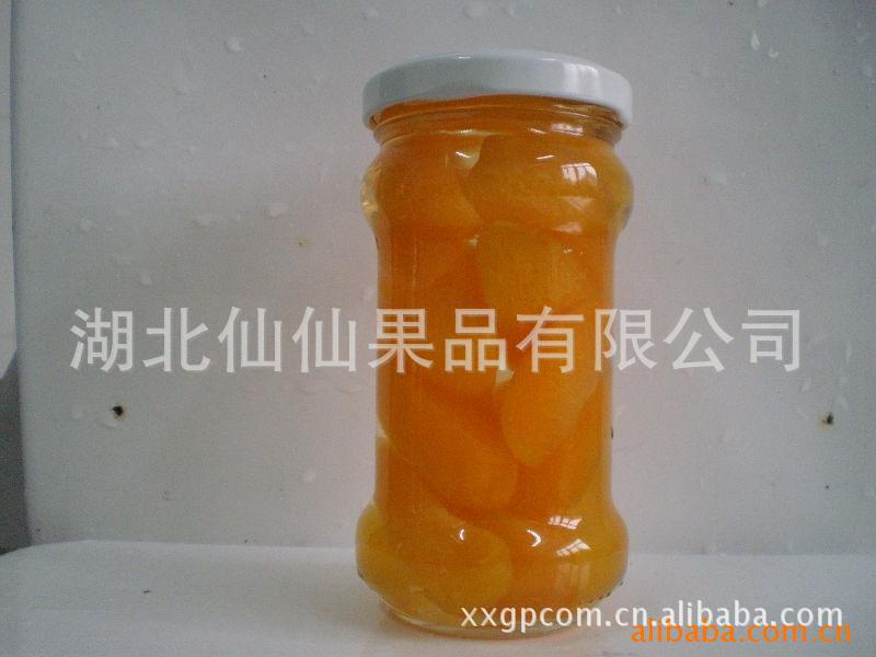 仙仙果品专业供应口感上佳营养丰富糖水杏罐头食品