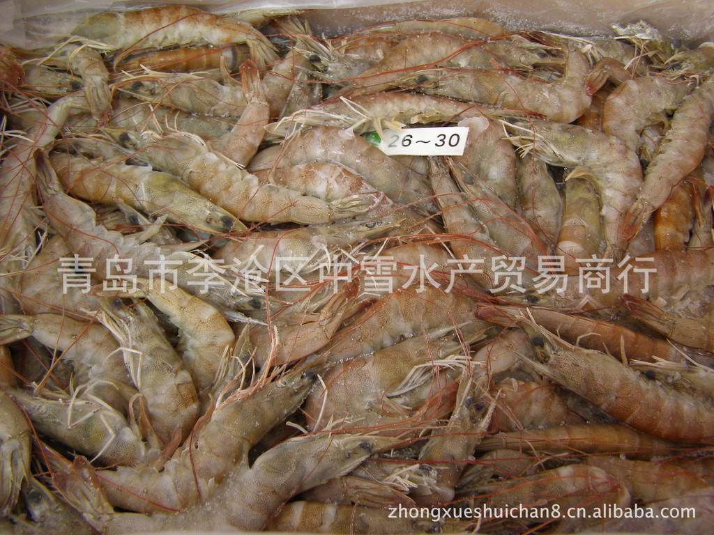冷冻水产品批发，长期批发青岛南美大对虾，当地海捕南美对虾