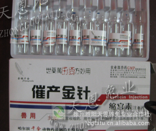 催产金针 兔用 兽用 催产针 宠物犬用兽药 缩宫素 成盒价