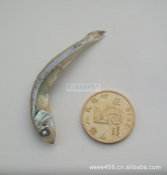 淡干沙丁鱼干,水产干货批发 海产品干货