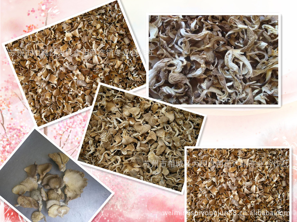 批发团购特价 新鲜平菇 性价比高