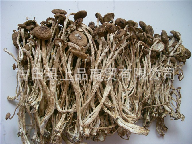 茶树菇纸箱包装/非江西广昌茶树菇/古田食用菌