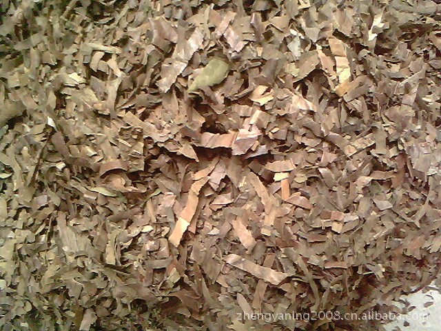 供应各种中药材 中药饮片 中草药 枇杷叶、杷叶、巴叶、芦桔叶