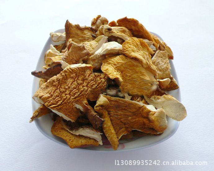 东北野生元蘑 素中有荤 黑龙江深山 农户自产自销 山元蘑菇批发