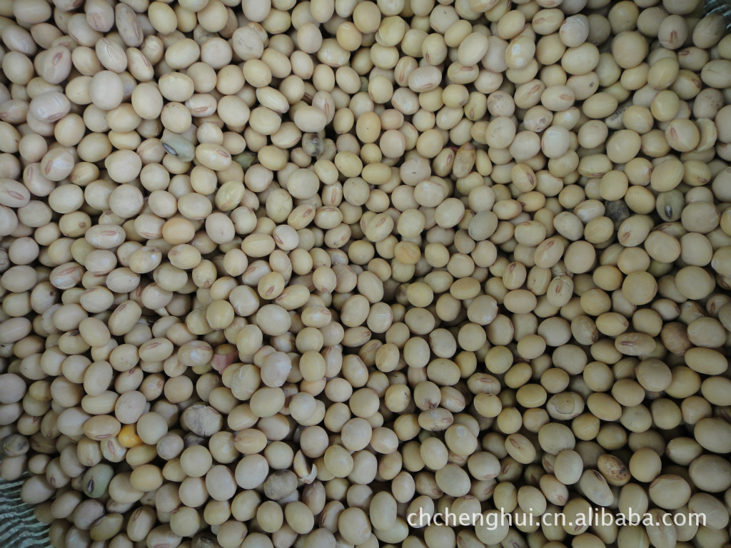 长期供应香糯米、大米、杂粮、黄豆、谷子、糜子等 推广