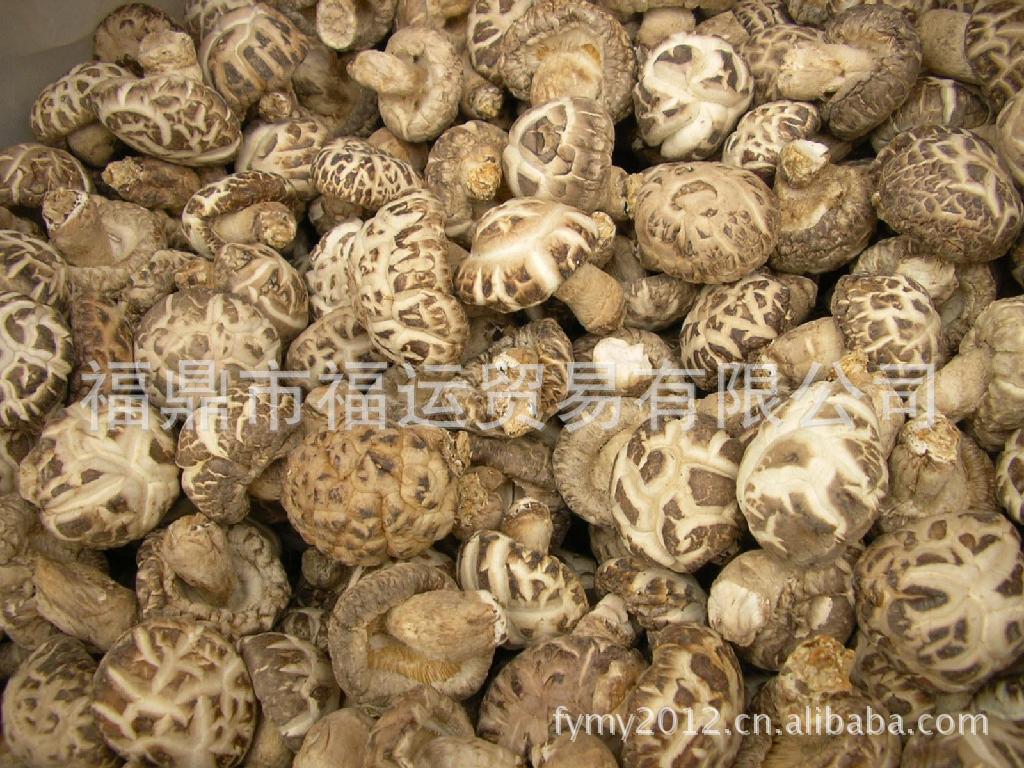 热销福建古田食用菌，农产品批发，花菇香菇
