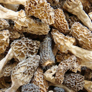 【新疆特产】2012年新品 优质野生羊肚菌 羊肚菇 干货食用菌