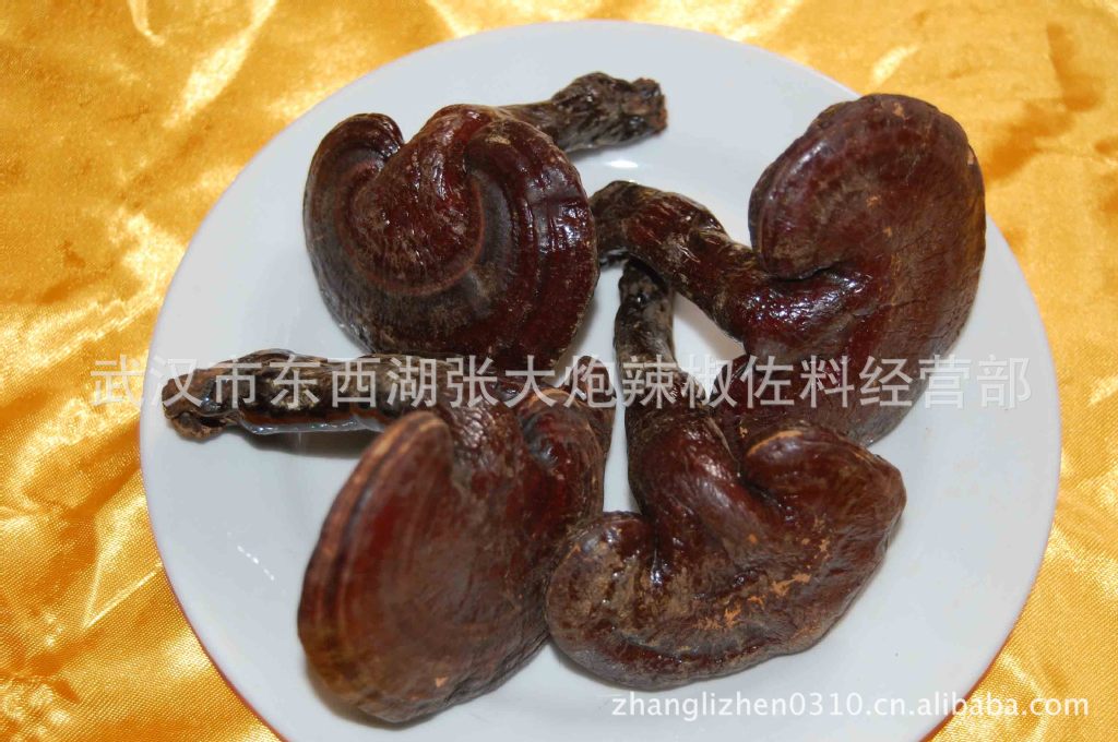 【新品推荐】供应天然野生整枝灵芝 特级赤灵芝