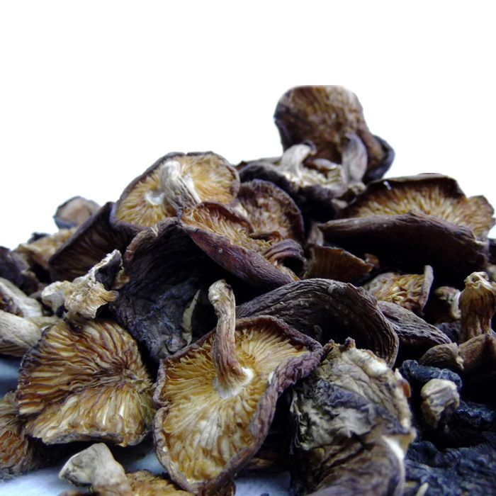 优质供货广西土特产环江野生香菇