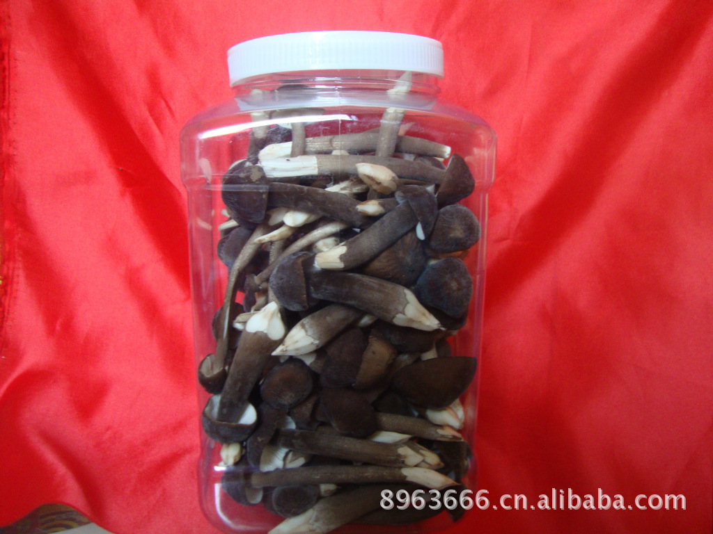 酒店配送食用菌，菌中之王，黑皮鸡纵菌