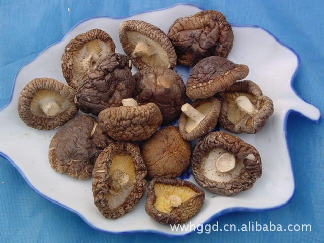 供应批发福建 质优价廉 干香菇